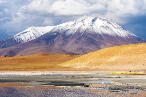 Bolivia Prints: Altiplano, Bolivia. Landscape view of flamingos grazing in Laguna Honda