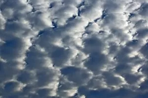 Images Dated 23rd February 2005: Altocumulus cloud pattern, Florida