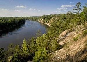 alum bluffs and Apalachicola River in Northern Florida, Florida panhandle