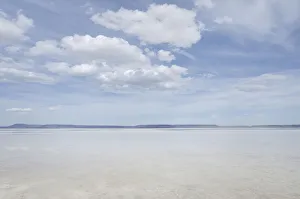 Eastern Oregon Prints: Alvord Lake, a seasonal shallow alkali lake in Harney County, Oregon