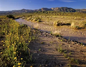 Amargosa River and Owlshead Range in Death Valley National Park in California