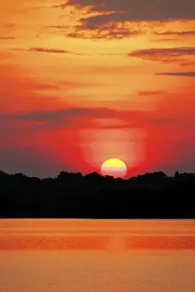Amazonia Prints: Amazon Jungle, Brazil, Sunsets over the Amazon river and jungle