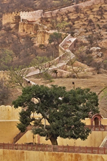 Images Dated 20th March 2008: Amber Fort, Jaipur, India