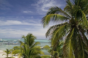 Images Dated 3rd May 2004: Ambergris Caye, Town of San Pedro, Belize