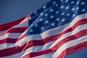Images Dated 31st March 2010: American flag