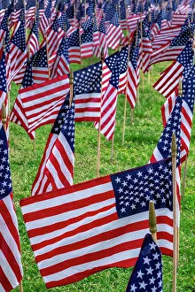 Patriotism Prints: American flag display