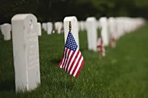 Images Dated 30th May 2006: American flags on tombs of American Veterans on Memorial Day, Zachary Taylor National Cemetery