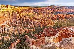 Amphitheater Hoodoos, Bryce Canyon National Park, Utah