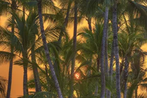 Images Dated 3rd February 2016: Anaeho omalu Bay, Kohala Coast, Big Island, Hawaii, USA