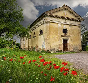 Images Dated 2022 August: Ancient church ruin surrounded by bright reed poppies. Montalcino. Tuscany, Italy