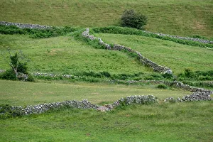 Betty Sederquist Prints: Ancient stone fences criss cross a field near the village of Cong