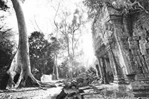 Siem Reap Prints: Angkor Cambodia, Details Ta Prohm