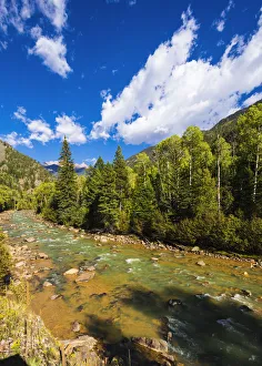 Brook Prints: Animas River, San Juan National Forest, Colorado, USA. (Editorial Use Only)