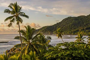 Coconut Prints: Anse La Liberte beach, Mahe, Republic of Seychelles, Indian Ocean