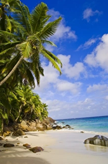 Anse Victorin Beach on Fregate Island