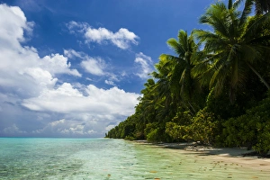 Destinations Prints: Ant Atoll, Pohnpei, Micronesia