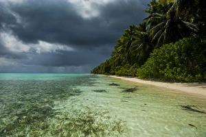 Ant Atoll, Pohnpei, Micronesia