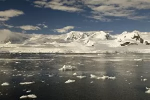 Images Dated 27th January 2006: Antarctic, Antarctic