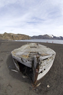 Images Dated 30th January 2005: Antarctic, Antarctic