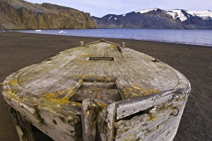Images Dated 30th January 2005: Antarctic, Antarctic