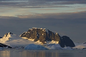 Antarctic, Antarctic