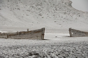 Antarctic, Antarctic