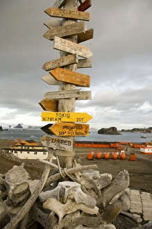 Images Dated 4th February 2007: Antarctic, Sub Antarctic Island