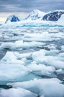 Images Dated 17th April 2024: Antarctica, Andvord Bay, Neko Harbour