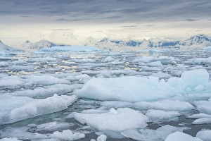 Images Dated 17th April 2024: Antarctica, Andvord Bay, Neko Harbour
