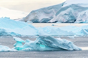 Images Dated 17th April 2024: Antarctica, Andvord Bay, Neko Harbour