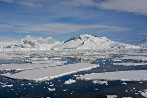 Images Dated 17th February 2014: Antarctica. Antarctic Peninsula. South of the Antarctic Circle. near Adelaide Island