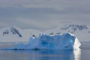 Images Dated 19th February 2014: Antarctica. Antarctic Peninsula. Gerlache Strait. Blue iceberg