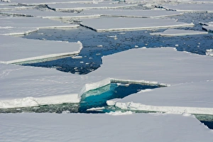 Images Dated 17th February 2014: Antarctica. Antarctic Peninsula. South of the Antarctic Circle. near Adelaide Island