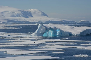 Images Dated 17th February 2014: Antarctica. Antarctic Peninsula. South of the Antarctic Circle. near Adelaide Island