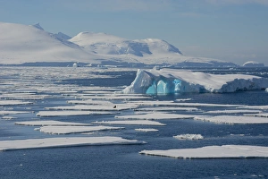 Images Dated 17th February 2014: Antarctica. Antarctic Peninsula. South of the Antarctic Circle. near Adelaide Island