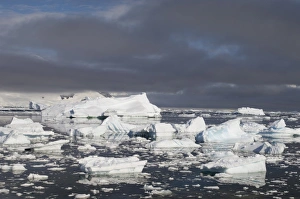 Images Dated 27th January 2006: Antarctica, Antarctic Peninsula, Gerlache strait, Neko Harbor