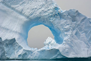 Images Dated 20th February 2014: Antarctica. Antarctic Peninsula. Charlotte Bay