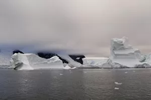 Images Dated 28th January 2006: Antarctica, Antarctic Peninsula, Lemaire Channel, Icebergs near Pleneau Island