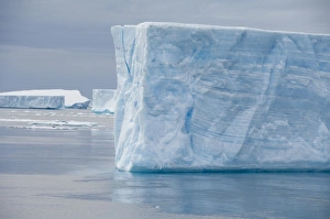 Images Dated 14th March 2010: Antarctica, Antarctic Penninsula, Antarctic Sound. Tabular icebergs