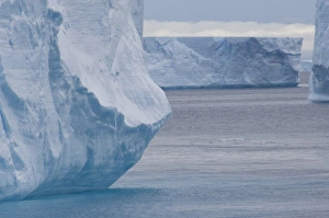 Images Dated 14th March 2010: Antarctica, Antarctic Penninsula, Antarctic Sound. Tabular icebergs