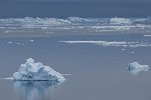 Frigid Prints: Antarctica, Antarctic Penninsula, Brown Bluff (63832 S, 56855 W). Iceberg