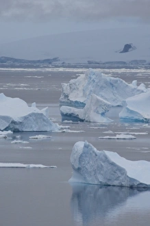 Antarctica, Antarctic Penninsula, Brown Bluff (63832 S, 56855 W). Iceberg