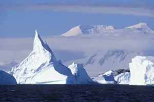 Eco Tourism Prints: Antarctica, Boothe Island, Afternoon sun lights icebergs grounded near Port Charcot
