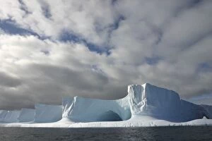 Images Dated 1st January 1980: Antarctica, Bransfield Strait, Afternoon sun lights massive tabular iceberg near