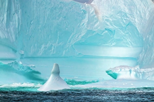 Images Dated 17th April 2024: Antarctica. Close-up of icebergs