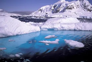 Jack Stein Grove Prints: Antarctica. Expedition through icescapes