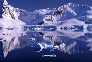 Paradise Bay Prints: Antarctica, Paradise Bay