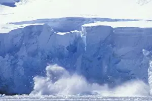 Glacier Bay Prints: Antarctica, Paradise Bay, Massive wave forms as icebergs calve from tidewater glacier