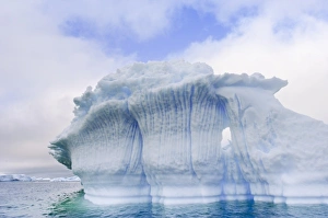 Images Dated 28th January 2005: Antarctica, Pl