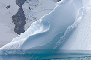 Images Dated 12th February 2006: Antarctica, Pl